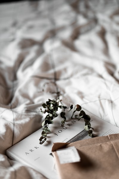 白色和绿色的小花束在白色和棕色印花纺织品
